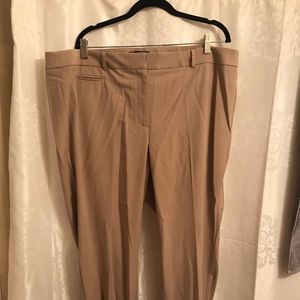 Talbot Plus Size Dress Pants-20wp